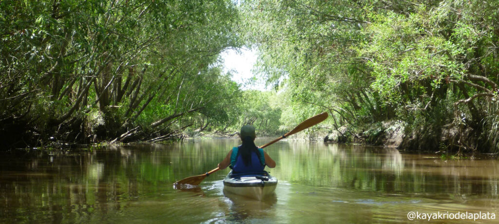 Kayak in Buenos Aires  Kayak Río de la Plata