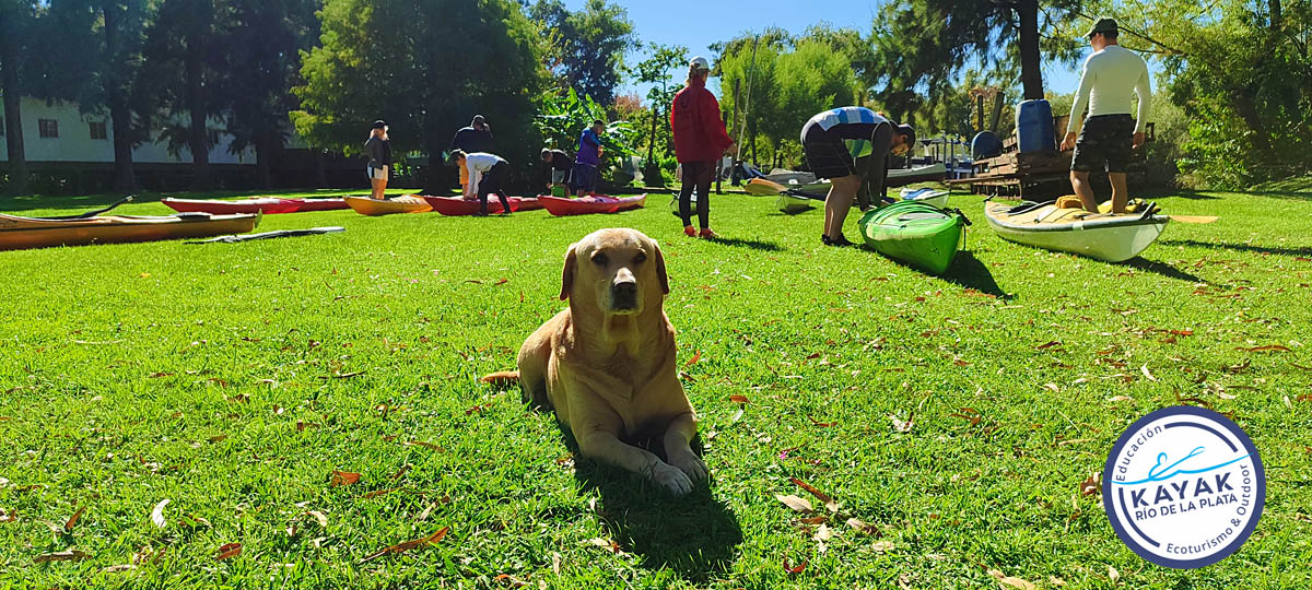 kayakriodelaplata.com.ar